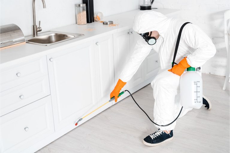 Profesional de desinsectación y control de plagas fumigando una cocina particular en Barcelona.